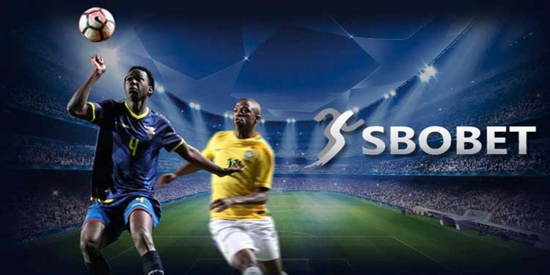 Thông tin về kèo cá cược thể thao tại cổng game Sbobet