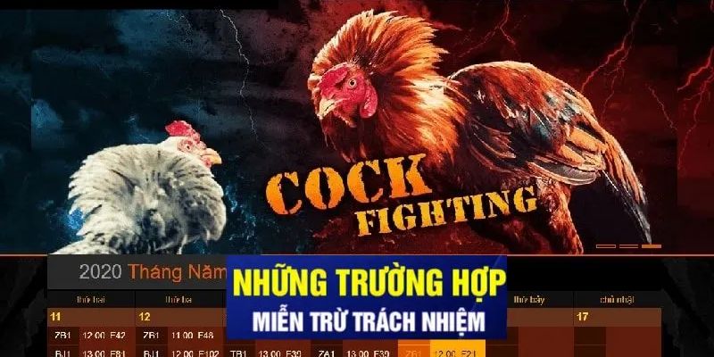 SV388 - Ban Hành Quy Định Miễn Trừ Trách Nhiệm Mới Nhất - Ảnh 2