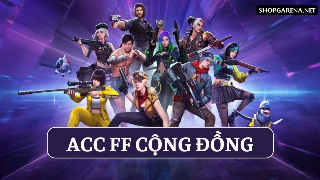 Acc FF 500k