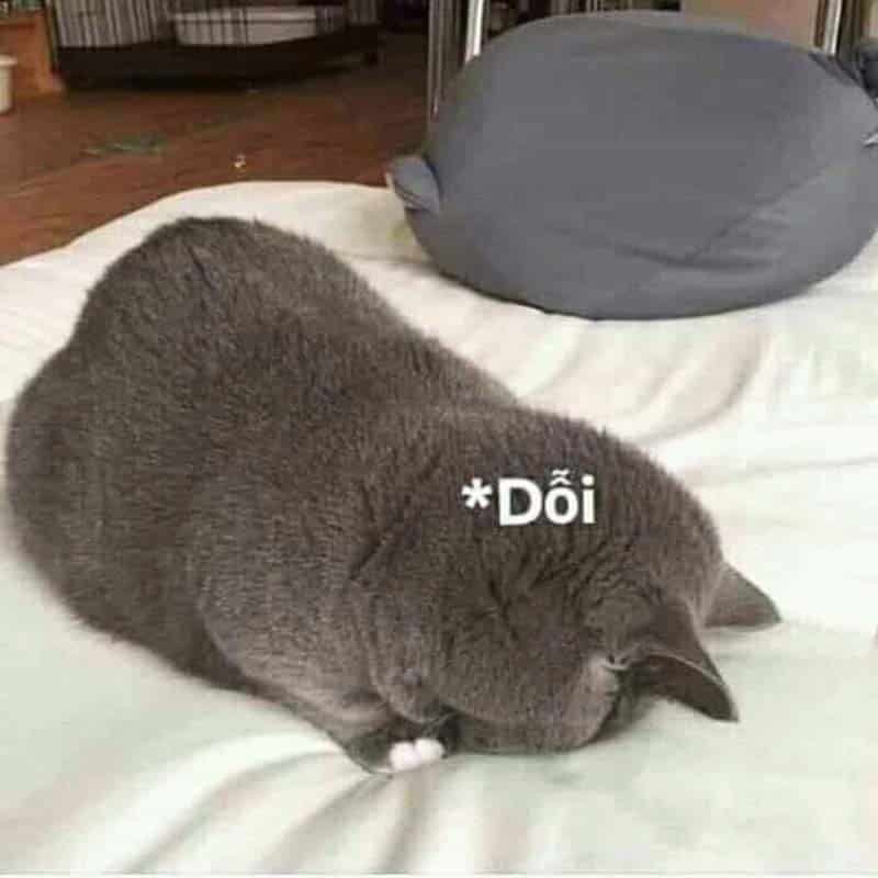 That la doi