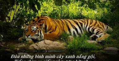 Bài văn phân tích bức tranh tứ bình trong bài thơ 