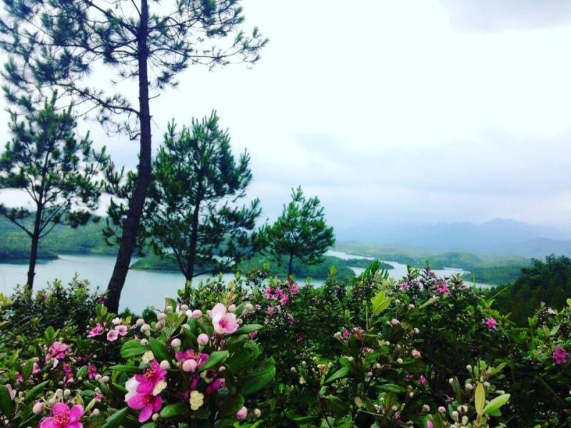 Phú Quốc thân yêu