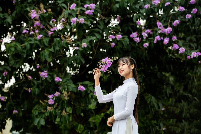 Hoa tím bằng lăng