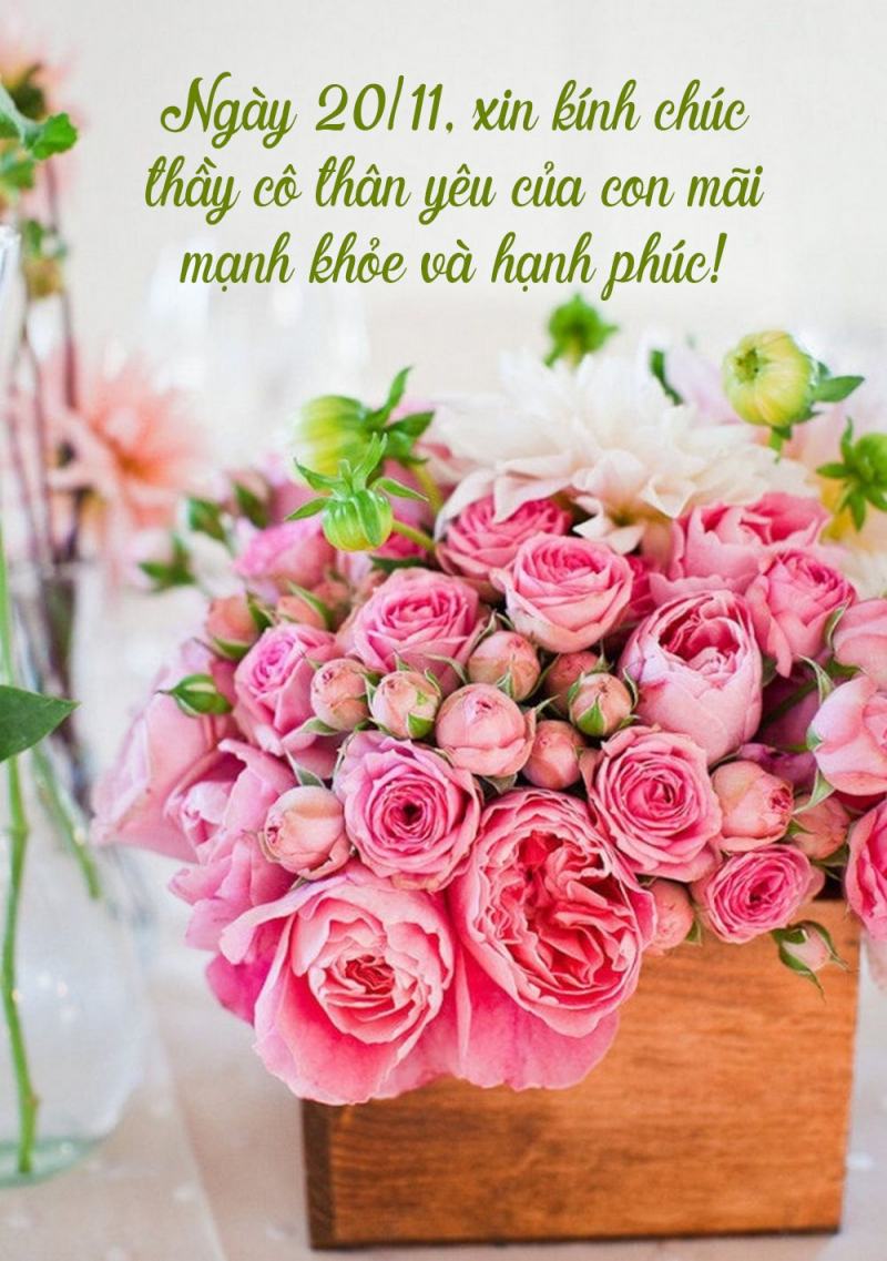 Tri ân thầy cô