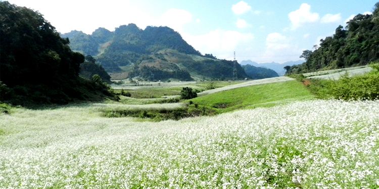 Hình minh hoạ