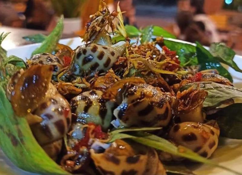 Ốc Đảo Quảng Trị