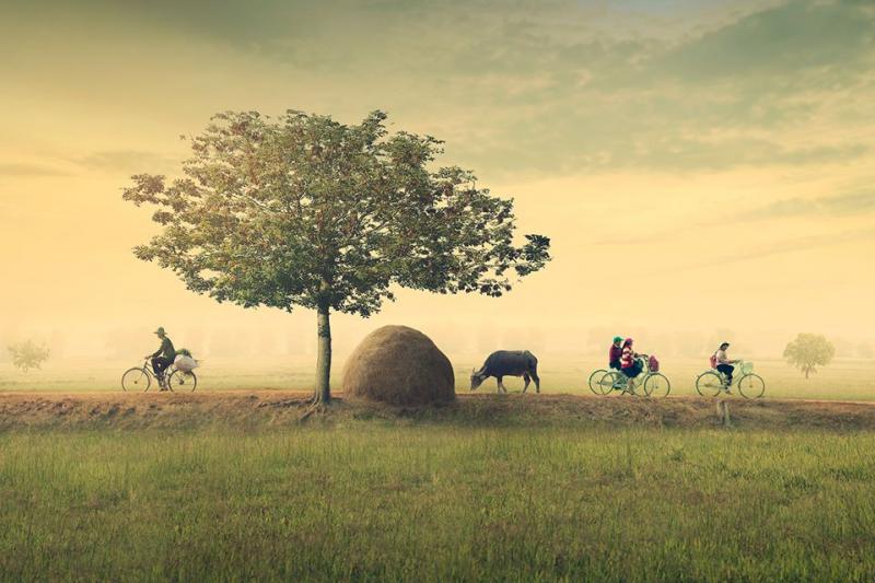 Cánh đồng tuổi thơ